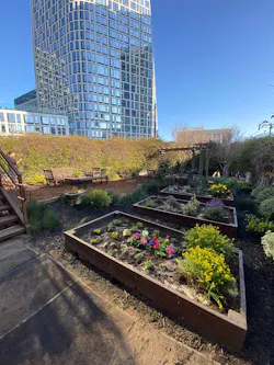 Epic Cleantec Garden Jan 22 3 Epic Cleantec Garden Jan 22 3