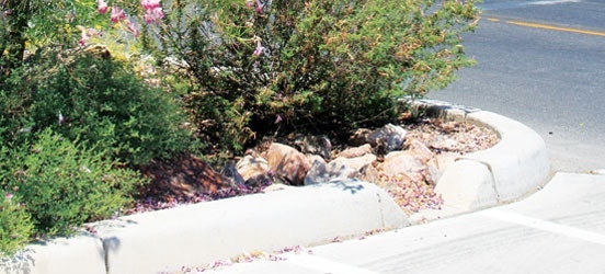 1654811789119 Vegetatedrwhbasinwithcurbcut Downtowntucson