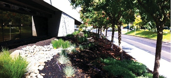 1654811838610 Use Completed Sheet Mulching Project