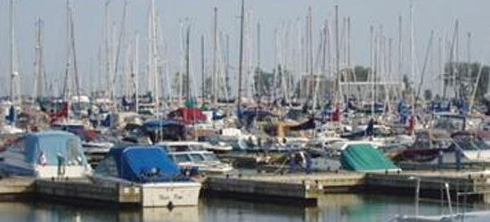 1654811844291 Ipex 1