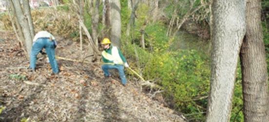 1654811899845 Pb190197