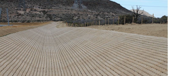 1654811935932-img_7964_0