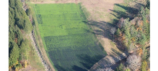 1654811947455 Img 1760