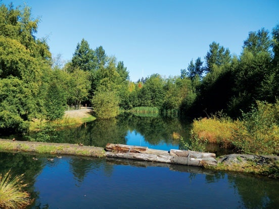 1654812198622 Td4millcreekpond6