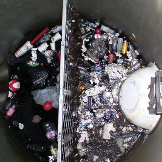 1654812200103 Saflwithsnout2sq