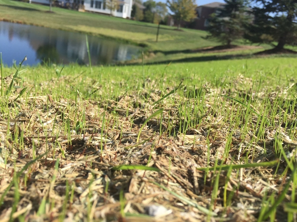 1654812751671 Img 6160