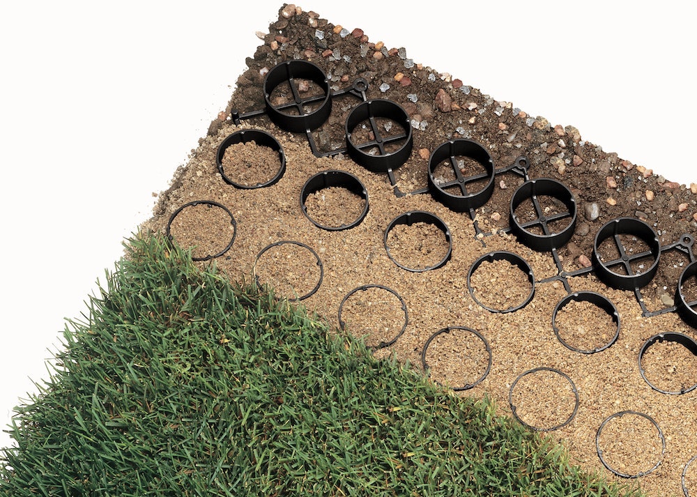 1654812872418-grasscrosssectionhi