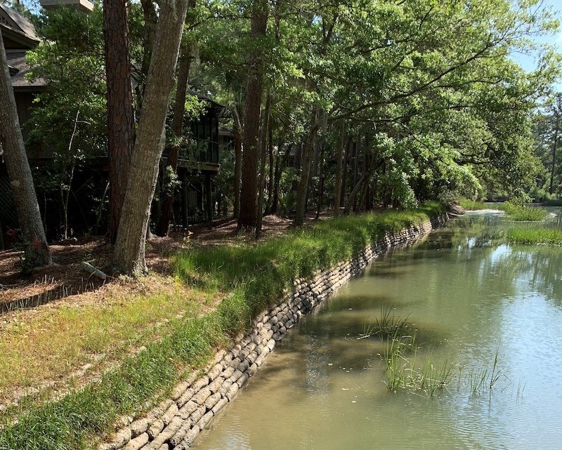 1654813022562 Vegetation1