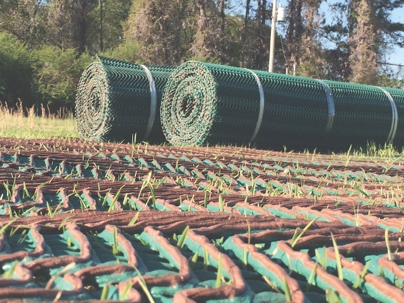 1654813061966 Terratame21 Copy