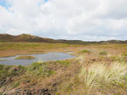 1654813083543 Coastal Dune Lakes 1654813083543 Coastal Dune Lakes