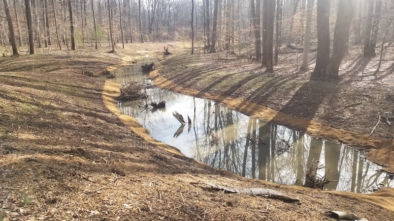 1654813148972 Tributary