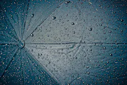 1654813456854 Rain 1654813456854 Rain