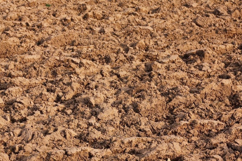 1654813528615 Abstract21769 1920