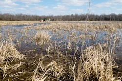 1654813540174 Photo 1 1654813540174 Photo 1