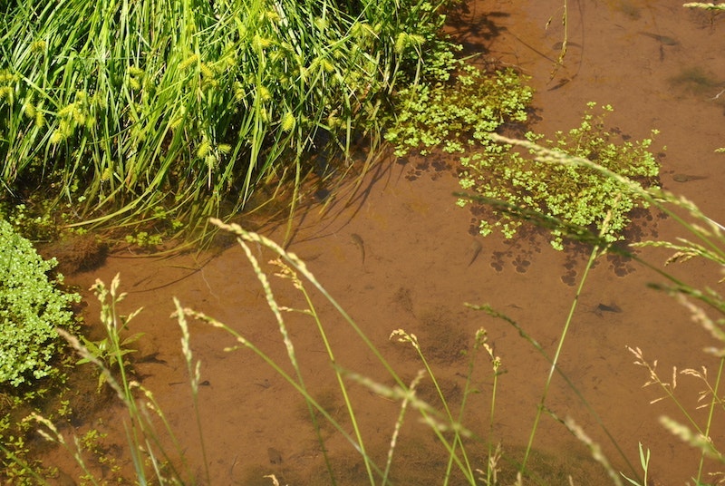 1654813695517 20170620 Dsc 0961