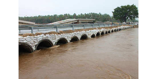 1655254064348 Acpa Cs Coyuca De Benitez Mexico 1