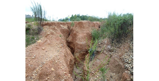 1655254068336-profile_cs_al_1