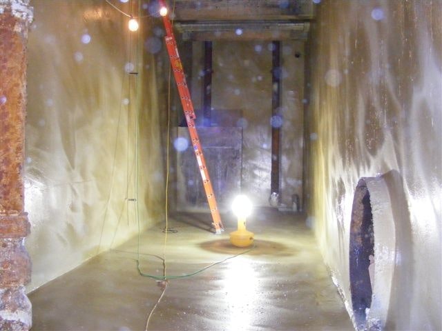 1655254096499 Casestudy31