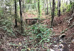 1655254105809 Augusta Before800w 1655254105809 Augusta Before800w