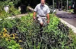 1655259598244 31225 Thumb 1655259598244 31225 Thumb