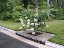 1655259607639 Filter 1655259607639 Filter