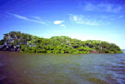 1655259608051 Matlacha2 1655259608051 Matlacha2