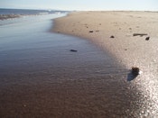 1655259611445 Beach1