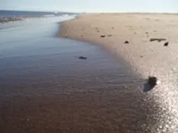 1655259611445 Beach1 1655259611445 Beach1