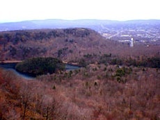 1655259620584 Fig110