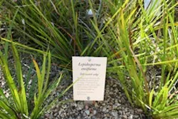 1655259631419 200606c1 1655259631419 200606c1