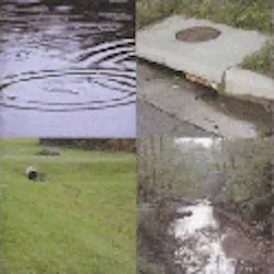 1655260112657 Collage1 1655260112657 Collage1