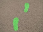1655260143702 Green Footprints