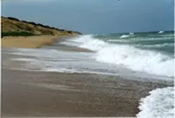 1655260212324 Beach Cc 1655260212324 Beach Cc
