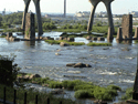 1655260214811 James River