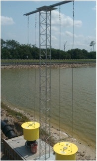 1655260222798 Thirstyducktdseries