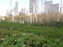 1655260226534 Greenroof 0 1655260226534 Greenroof 0