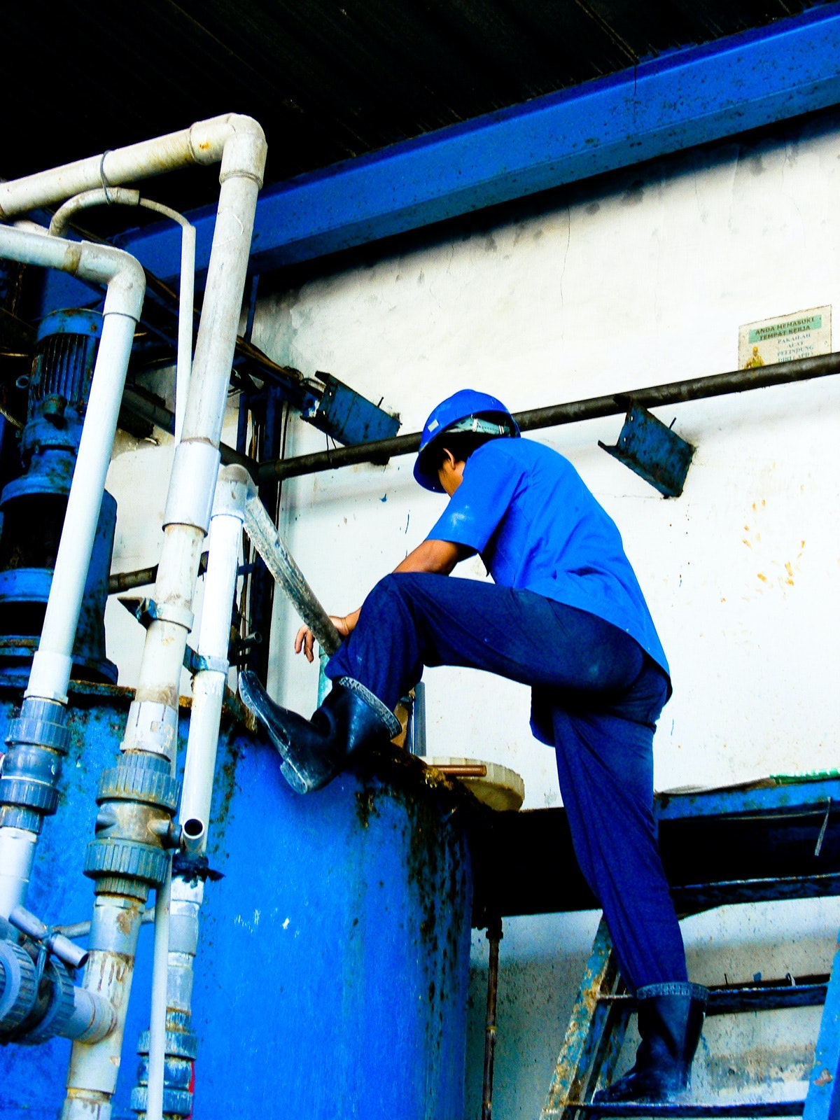 1655260232409-1123359_41823673