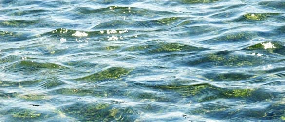 1655260245032 Oceanslider