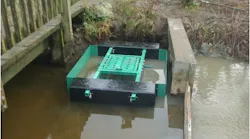 1655260263819-thirsty_duck 1655260263819-thirsty_duck