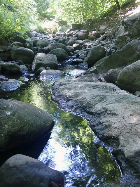 1655260324830 Epa Nacwa Clean Water Act Ruling