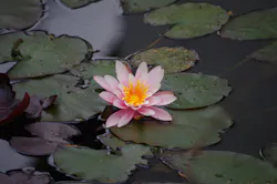 1655260341770 1425353 57243384 1655260341770 1425353 57243384