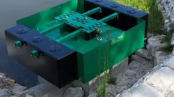 1655260354251-thirsty_duck_university_of_south_florida 1655260354251-thirsty_duck_university_of_south_florida