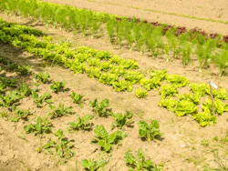 1655260367751 Bgu Study Groundwater Pollution 1655260367751 Bgu Study Groundwater Pollution