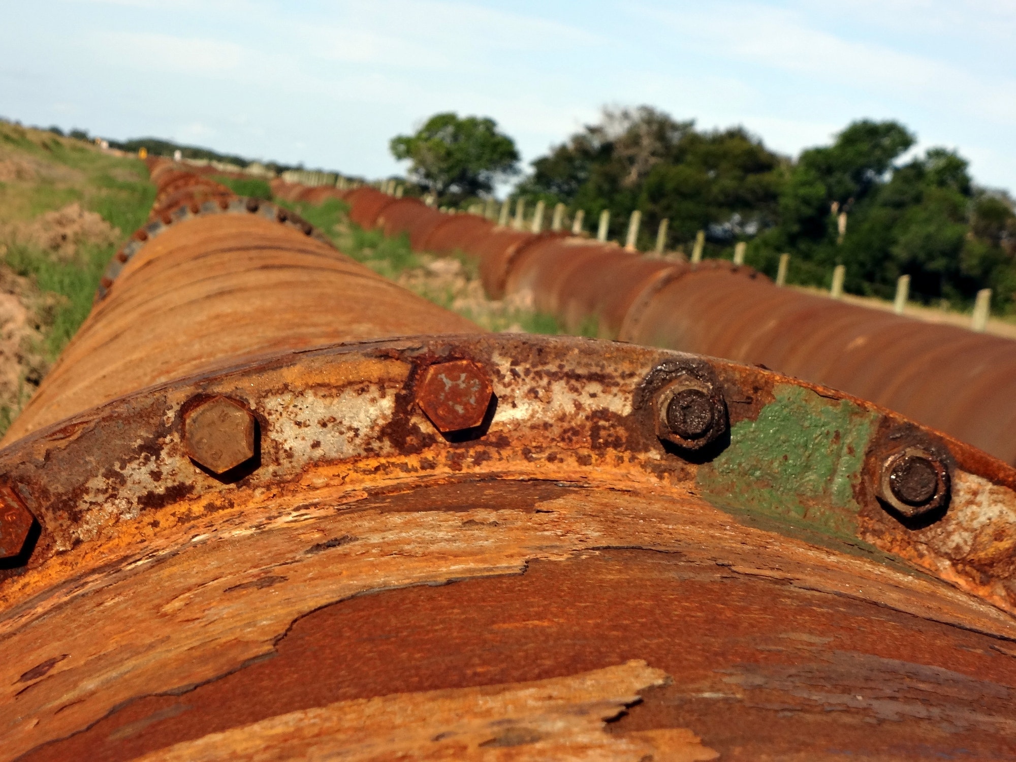 1655260376346 1402516 15789854