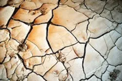 1655260389286 Soil 1655260389286 Soil