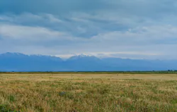 1655260415694 Soil In The City Conference 1655260415694 Soil In The City Conference