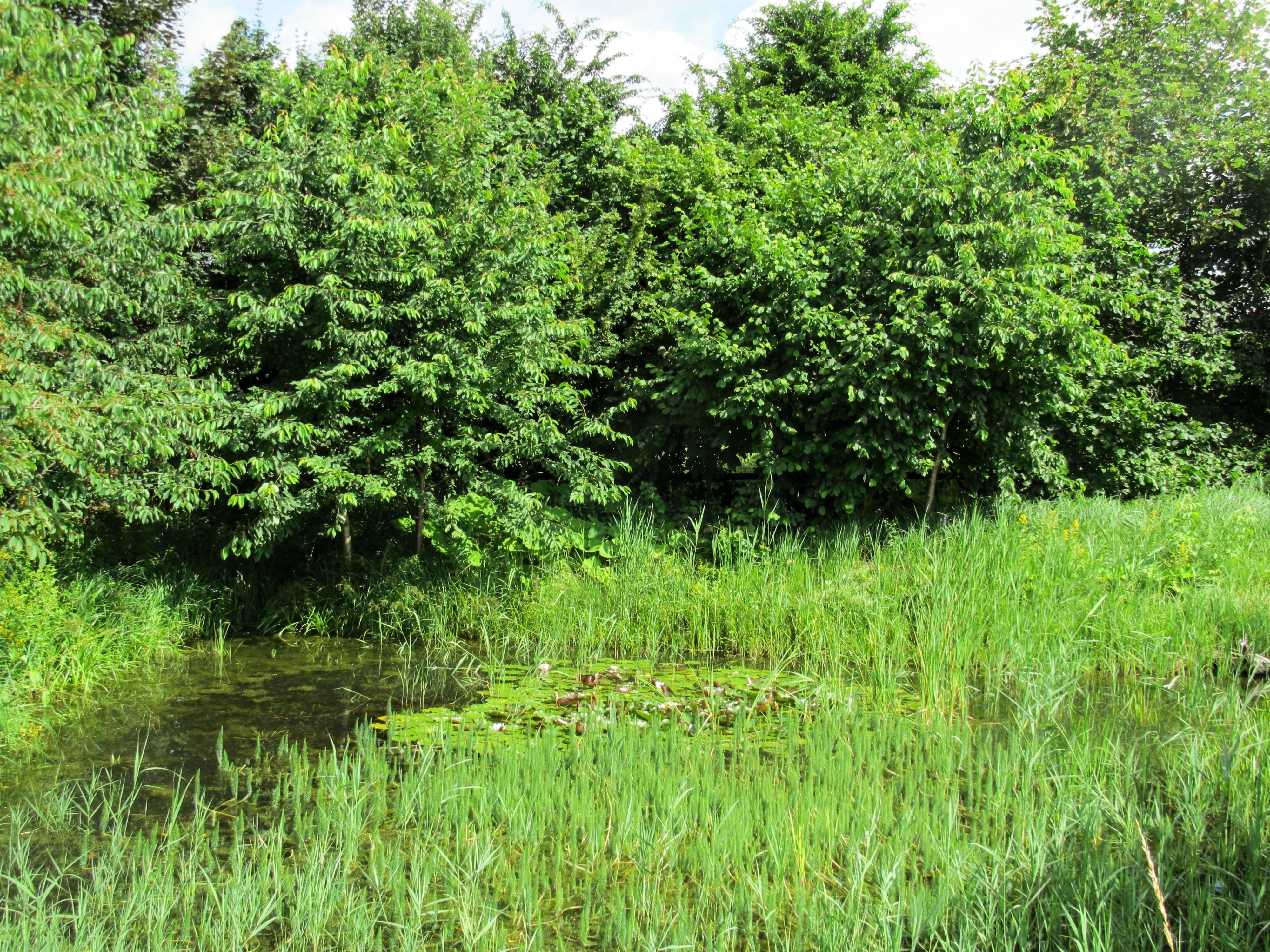1655260430382 Epa Central Valley Wetlands