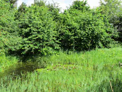 1655260430382 Epa Central Valley Wetlands 1655260430382 Epa Central Valley Wetlands