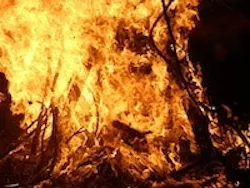 1655260434852 Fire 1655260434852 Fire