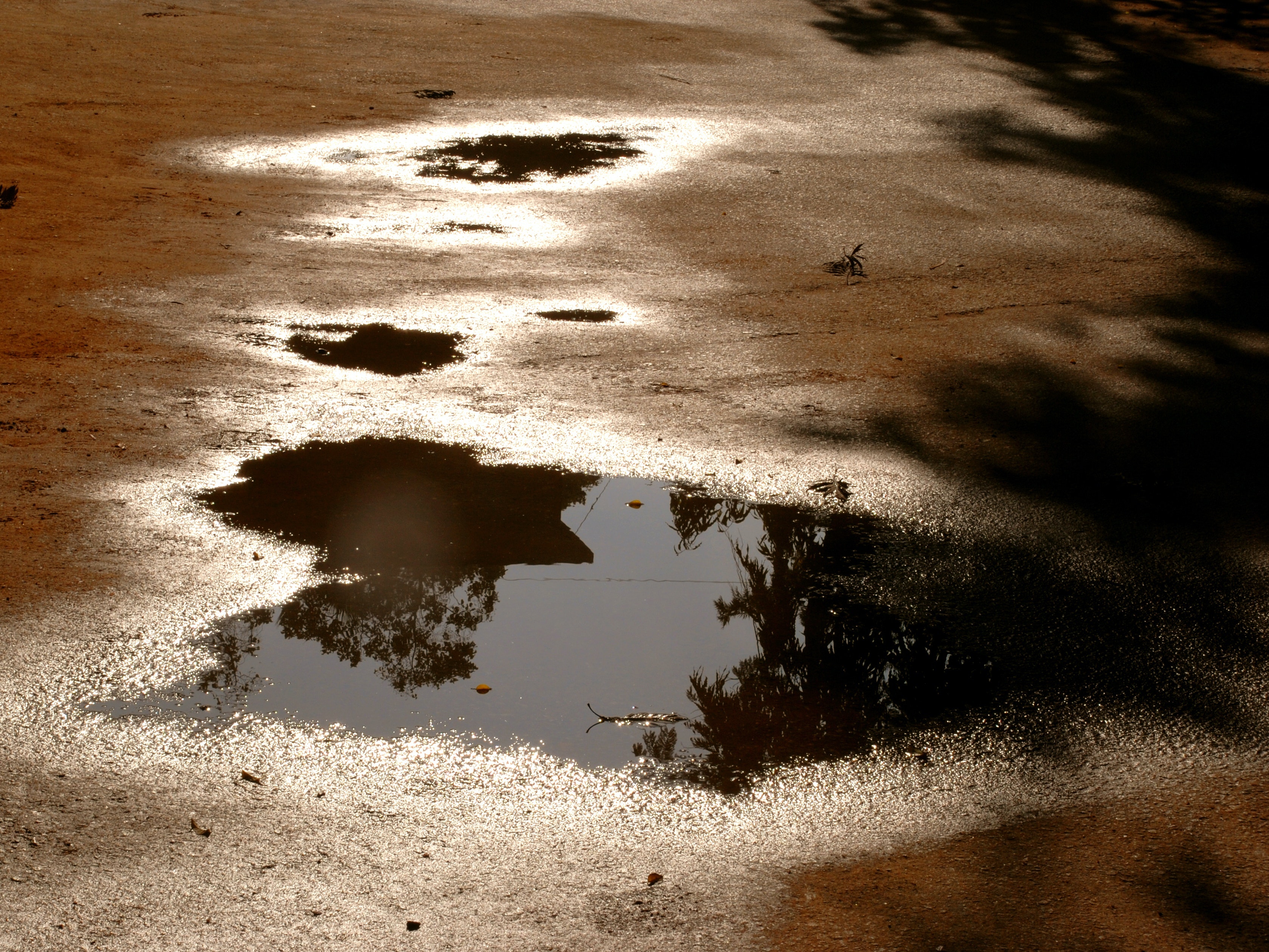 1655260493250-918518_48853181